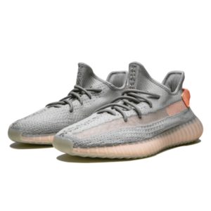 yeezy boost 350 true form shoes